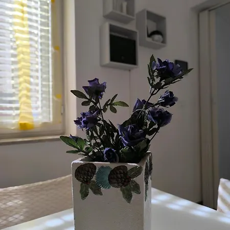 Nonna Cammilina Apartament *